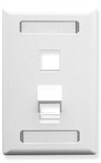 ICC Cabling Products: White 2 Port Angled Station ID Wall Plate 