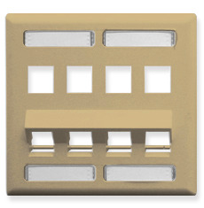 ICC Cabling Products: White 8 Port Angled Station ID Wall Plate 