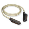 ICC ICPCSTMM10 10 ft Male to Male 25 Pair Amphenol Cable