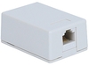 ICC IC625S51WH White 8P8C Cat5e Surface Mount Jack   