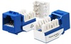 6EKSJBL - WAVENET Cat 6 Keystone Jack, Blue