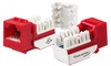 6EKSJRD- WAVENET Cat 6 Keystone Jack, Red