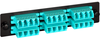 ICC ICFOPL161G 24 Fiber LC-LC Fiber Optic Adapter Panel for 10G