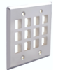 SSFP-012P 12 Ports Single- Gnag & Double Gang Stainless Steel Faceplate