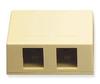 ICC Cabling Products IC107SB2IV Ivory 2 Port Surface Mount Box